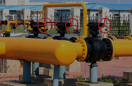 شرکت گروه مجوز تولید محصولات صنعتی را اخذ کرده است